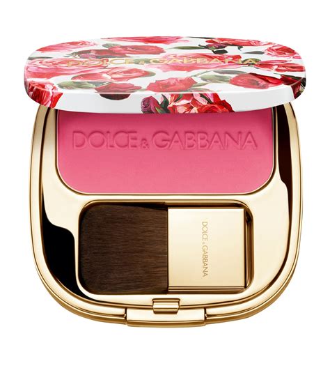 dolce gabbana blush of roses|Dolce & Gabbana professional blush.